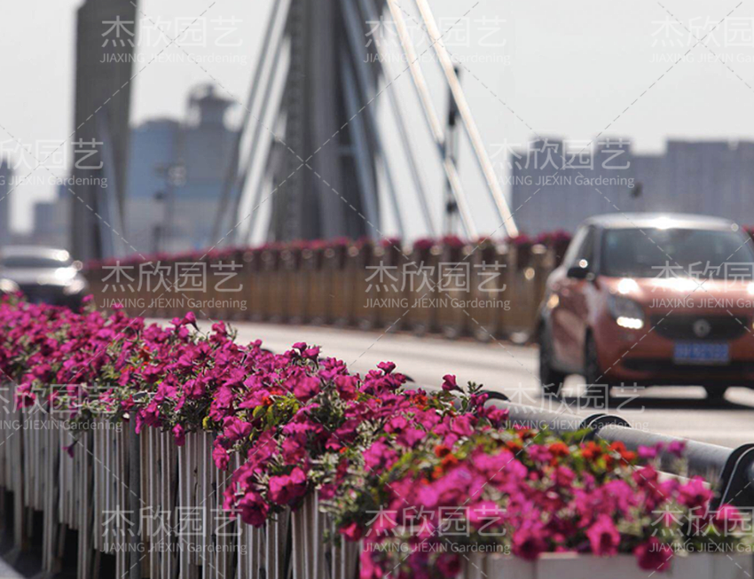 鋁合金創(chuàng)意花箱有哪些款式？